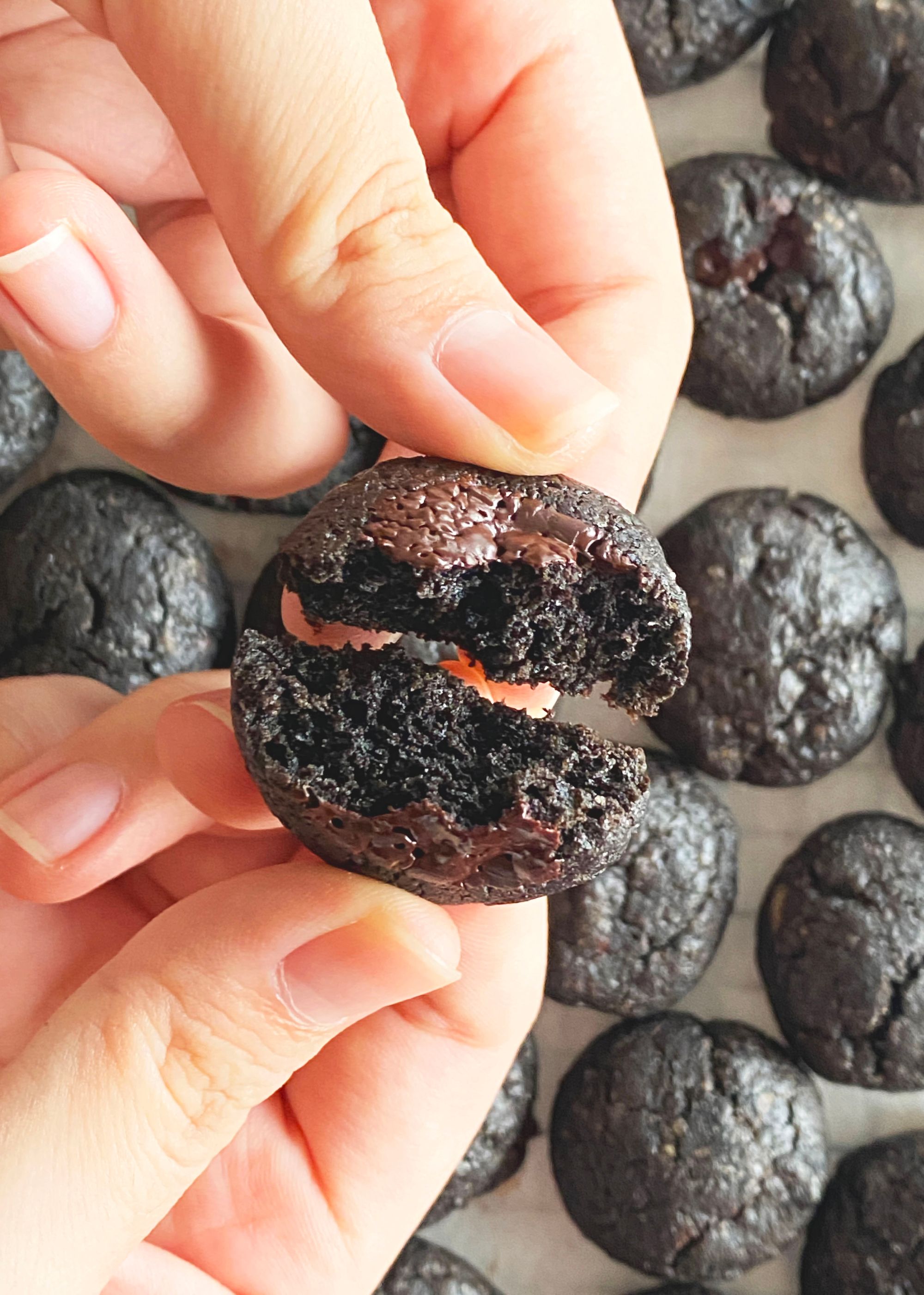 Dark Cocoa Chocolate Chip Cookies